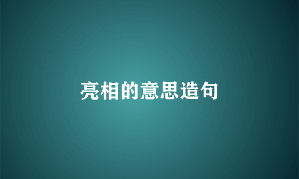 亮相的意思造句