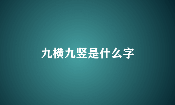 九横九竖是什么字