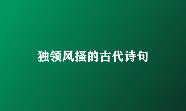 独领风搔的古代诗句