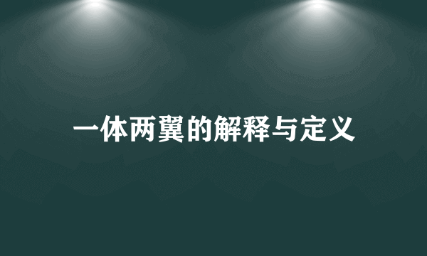 一体两翼的解释与定义