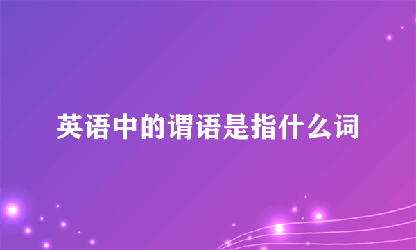 英语中的谓语是指什么词