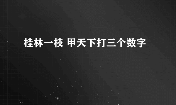 桂林一枝 甲天下打三个数字