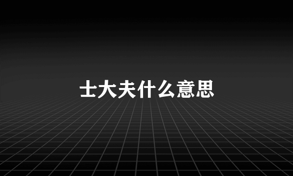 士大夫什么意思