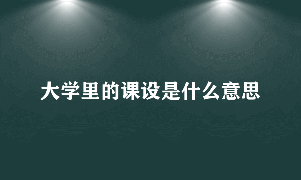大学里的课设是什么意思