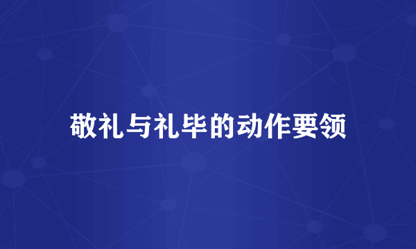 敬礼与礼毕的动作要领