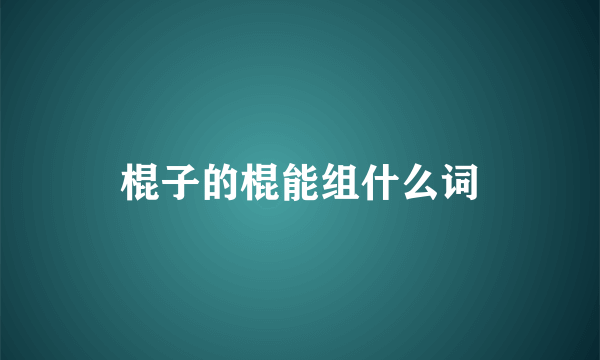 棍子的棍能组什么词