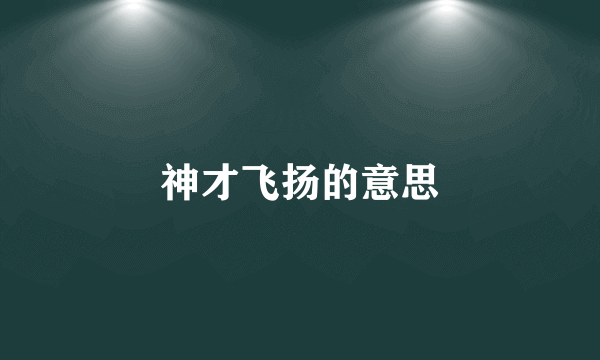 神才飞扬的意思