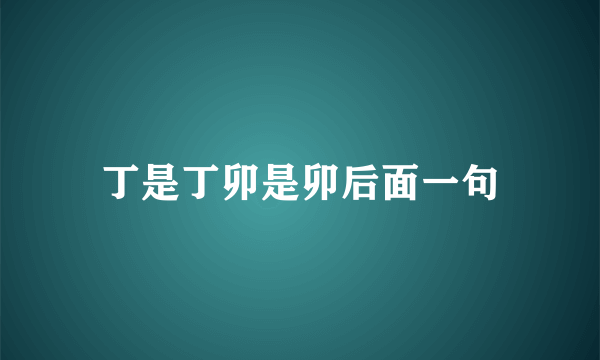 丁是丁卯是卯后面一句