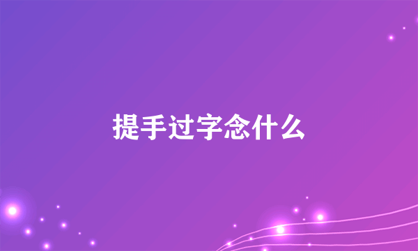 提手过字念什么