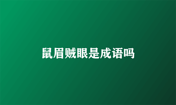 鼠眉贼眼是成语吗