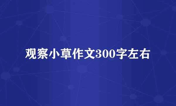 观察小草作文300字左右