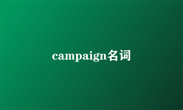 campaign名词