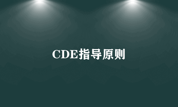 CDE指导原则