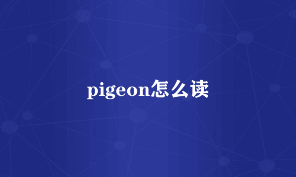 pigeon怎么读