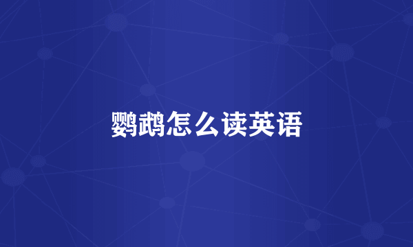 鹦鹉怎么读英语