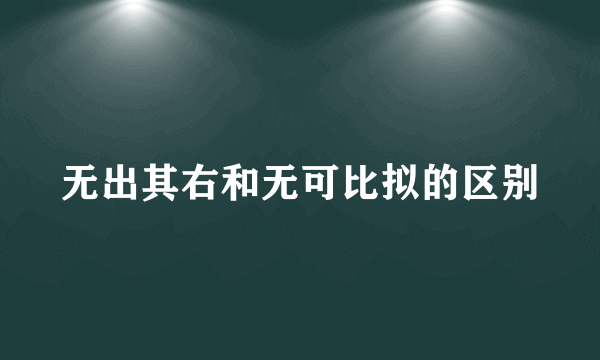 无出其右和无可比拟的区别