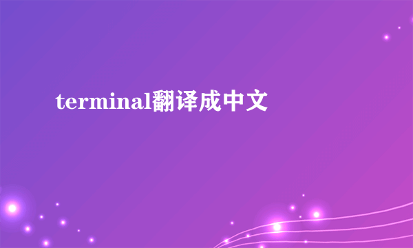terminal翻译成中文