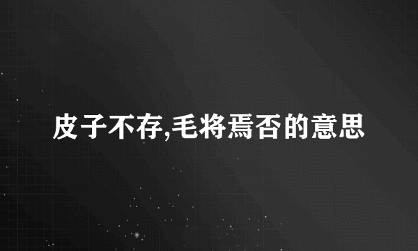 皮子不存,毛将焉否的意思