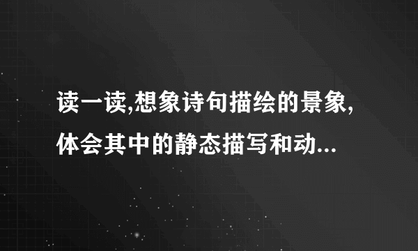 读一读,想象诗句描绘的景象,体会其中的静态描写和动态描写明月松间照,清泉石