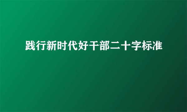 践行新时代好干部二十字标准