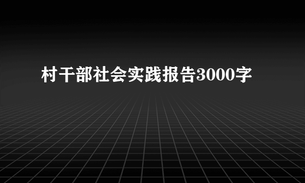 村干部社会实践报告3000字