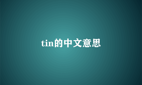 tin的中文意思