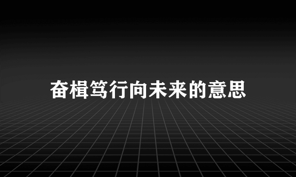 奋楫笃行向未来的意思