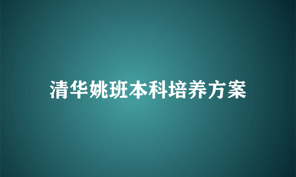 清华姚班本科培养方案