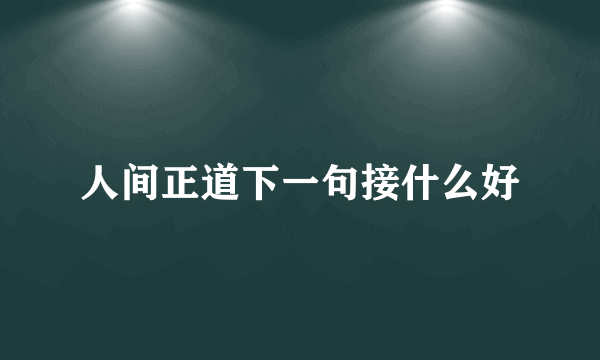 人间正道下一句接什么好