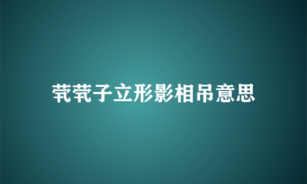 茕茕子立形影相吊意思