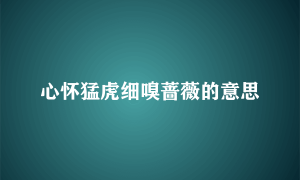 心怀猛虎细嗅蔷薇的意思