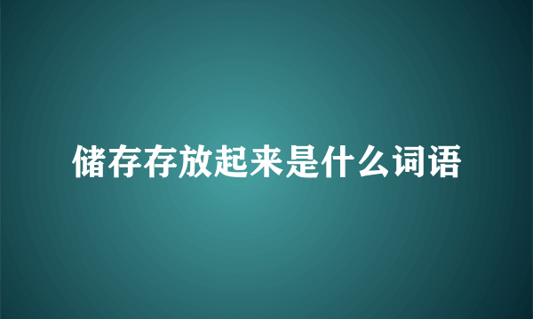 储存存放起来是什么词语