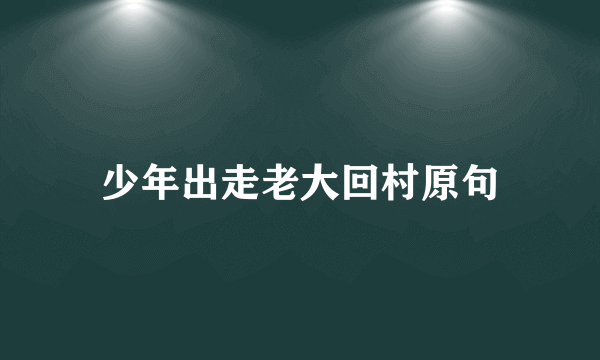 少年出走老大回村原句