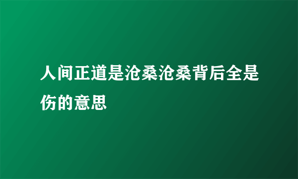 人间正道是沧桑沧桑背后全是伤的意思