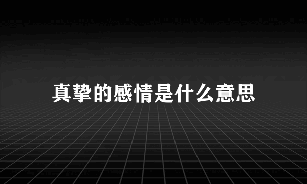 真挚的感情是什么意思