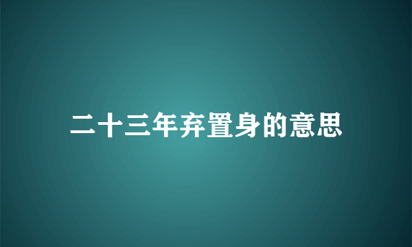 二十三年弃置身的意思
