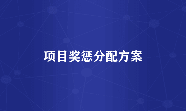 项目奖惩分配方案
