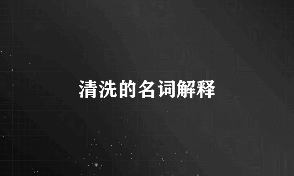 清洗的名词解释