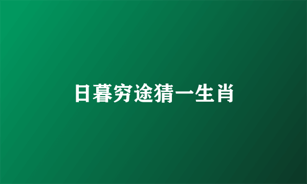 日暮穷途猜一生肖