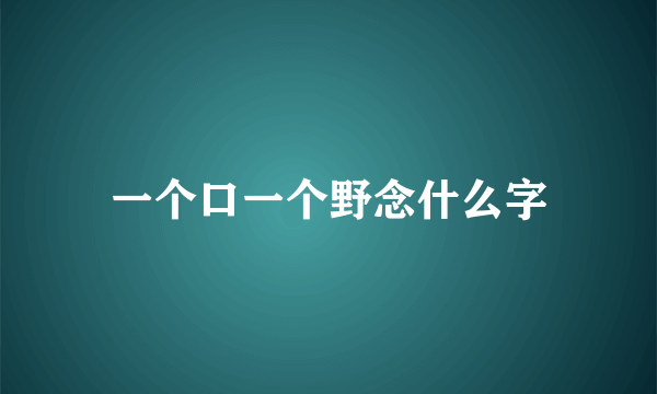 一个口一个野念什么字