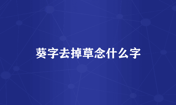 葵字去掉草念什么字