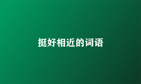 挺好相近的词语