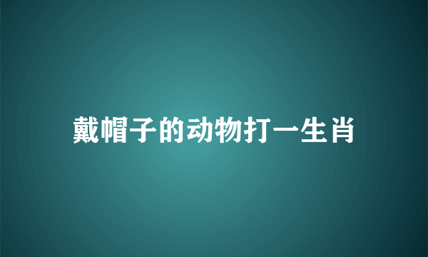 戴帽子的动物打一生肖