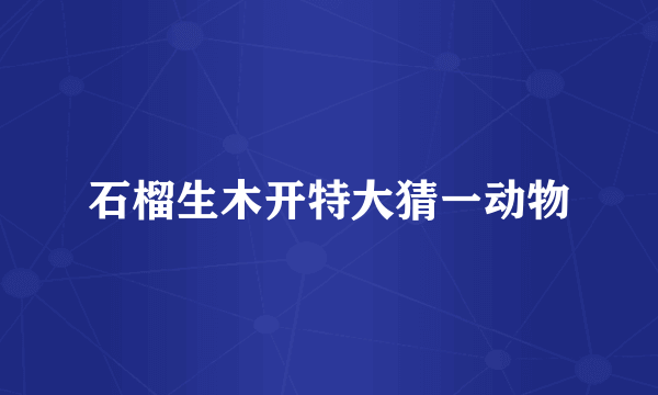 石榴生木开特大猜一动物