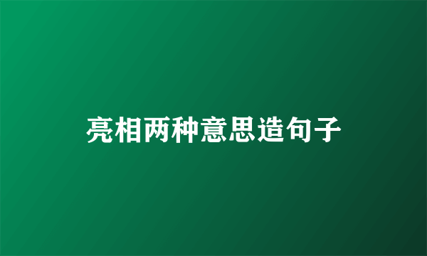 亮相两种意思造句子