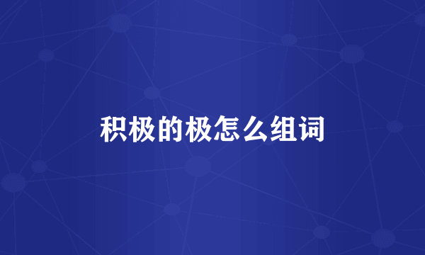 积极的极怎么组词