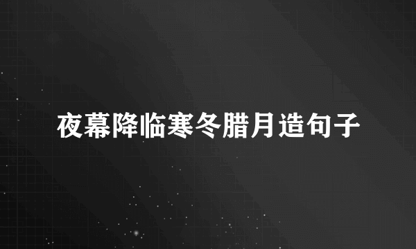 夜幕降临寒冬腊月造句子