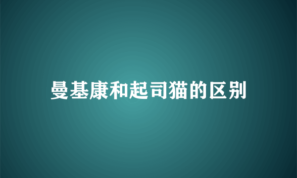 曼基康和起司猫的区别