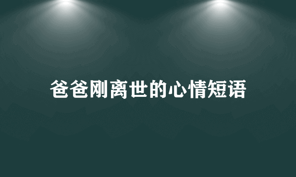 爸爸刚离世的心情短语