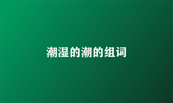 潮湿的潮的组词
